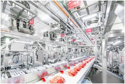 衛(wèi)龍 重塑品質(zhì)標(biāo)準(zhǔn),匠心打動(dòng)世界